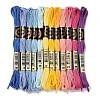 12 Skeins 12 Colors 6-Ply Polyester Embroidery Floss OCOR-M009-01B-04-1