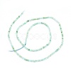 Natural Chrysoprase Beads Strands G-O180-01C-2
