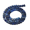 Dyed Natural Lapis Lazuli Beads Strands G-M403-A30-02-3