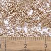 MIYUKI Delica Beads X-SEED-J020-DB1155-4