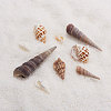 Natural Spiral Shell Beads SSHEL-CJ0001-03-4