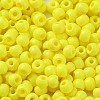 Baking Paint Glass Seed Beads SEED-H002-I-B501-3