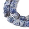 Natural Blue Spot Jasper Beads Strands G-K359-B19-01-4