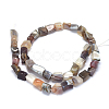 Natural Botswanna Agate Beads Strands G-O173-055-2