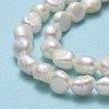 Natural Cultured Freshwater Pearl Beads Strands PEAR-A005-14-01-4