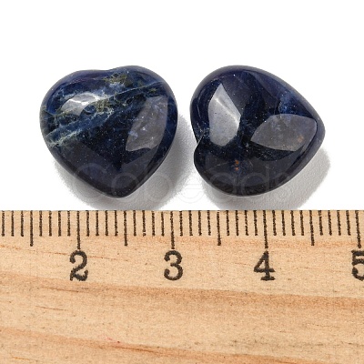 Natural Sodalite Beads G-P531-A10-01-1