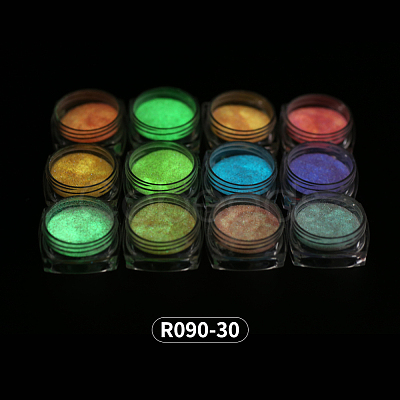 12 Colors Nail Art Luminous Powder MRMJ-R090-30-1