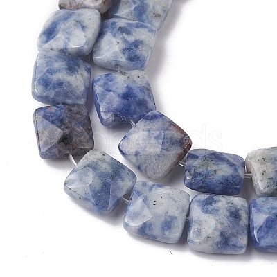 Natural Blue Spot Jasper Beads Strands G-K359-B19-01-1