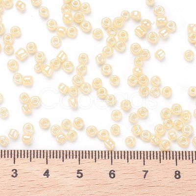 Glass Seed Beads SEED-XCP0001-01-1