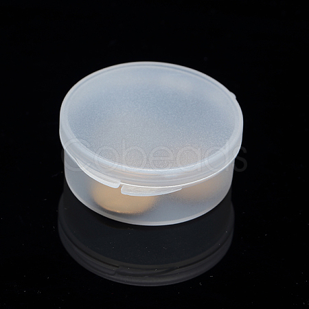 Frosted Plastic Bead Containers CON-L006-03-1