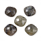 Natural Labradorite Cabochons, Faceted, Square, 15.5x15.5x5.5mm