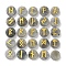 Brass Elder Futhark Alphabet Engraved Symbol Flat Round Natural Labradorite Rune Stones, for Chakras Balancing, Crystal Therapy, Meditation, Divination, 16.5~17.5x6~7mm, 25pcs/set