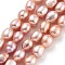 Natural Cultured Freshwater Pearl Beads Strands, Two Sides Polished, Grade 6A, Light Salmon, 6~7mm, Hole: 0.6mm, about 23pcs/strand, 6.69''(17cm)