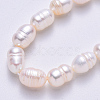 Natural Cultured Freshwater Pearl Beads Strands PEAR-S012-41B-4