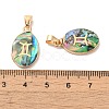 Constellation Natural Paua Shell Pendants KK-P265-01G-10-3