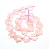 Natural Rose Quartz Flower Beads Strands G-L241B-05-2