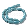 Natural Howlite Beads Strands G-E604-I01-4
