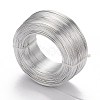 Aluminum Wire AW-S001-1.0mm-01-3