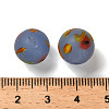 Handmade Frosted Lampwork Beads LAMP-C016-04C-08-4