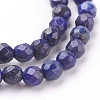 Natural Lapis Lazuli Beads Strands G-G059-4mm-3