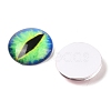 Half Round/Dome Dragon Eye Printed Glass Cabochons X-GGLA-A002-20mm-AB-2