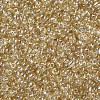 Glass Seed Beads SEED-A006-3mm-102-2