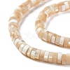 Natural Trochus Shell Beads Strands BSHE-E030-09A-02-3