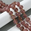 Natural Strawberry Quartz Beads Strands G-Q010-A21-01-2