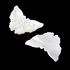 Natural White Shell Carved Cabochons SSHEL-I026-30-2