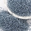 6/0 Glass Seed Beads X-SEED-J012-F6-120-1