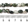 Natural Moss Agate Beads Strands G-L608-A03-01-5