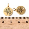 316 Surgical Stainless Steel Micro Pave Clear Cubic Zirconia Charms RB-I078-75G-3