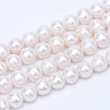 Natural Cultured Freshwater Pearl Beads Strands PEAR-R063-17-1