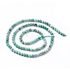 Natural Variscite Beads Strands X-G-C003-02-2