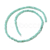 Natural Freshwater Shell Beads Strands SHEL-P017-01B-08-2