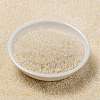 MIYUKI Round Rocailles Beads SEED-X0056-RR0281-2