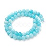 Natural Jade Beads Strands G-E443-B22-2