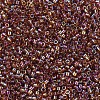 MIYUKI Delica Beads X-SEED-J020-DB0170-3