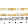 Natural Trochus Shell Beads Strands BSHE-H109-12B-5