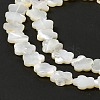 Natural White Shell Beads Strands SHEL-F003-07-6