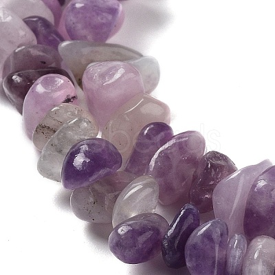 Natural Lepidolite/Purple Mica Stone Beads Strands X-G-P497-03A-06-1