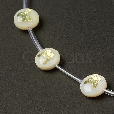 Natural Freshwater Shell Beads Strands BSHE-B005-13F-1