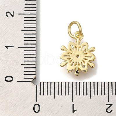 Rack Plating Brass Micro Pave Cubic Zirconia Charms KK-I720-37G-1