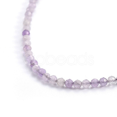 Natural Gemstone Beaded Necklaces NJEW-F245-A09-1