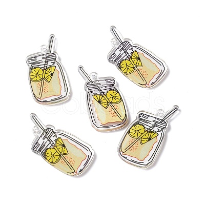 Transparent Printed Acrylic Pendants TACR-G042-01D-1