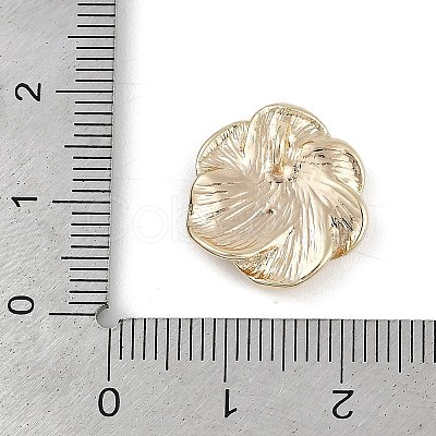 Brass Pendants KK-Z075-17G-1