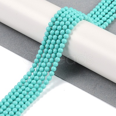 Synthetic Turquoise Beads Strands G-U004-02N-1