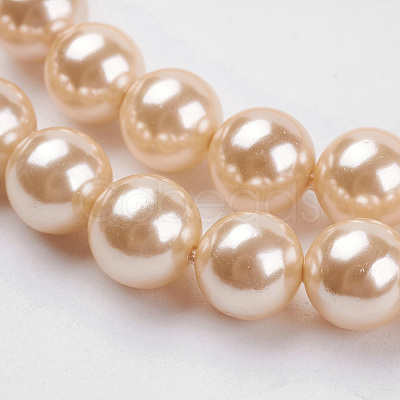 Shell Pearl Beads Strands BSHE-K011-10mm-VA066-1