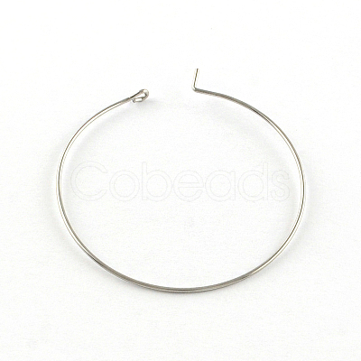 Tarnish Resistant 304 Stainless Steel Earring Hoop X-STAS-R083-01-1