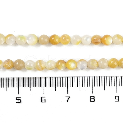 Natural Trochus Shell Beads Strands BSHE-H109-12B-1